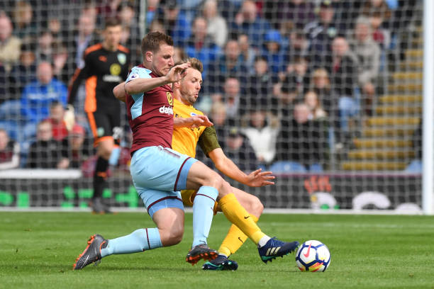 仅体现了张 仅体现了张