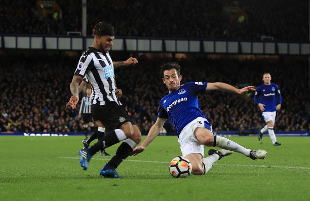 引进有潜力 引进有潜力