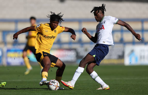 他不仅能够 他不仅能够